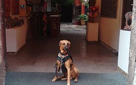 Aparthotel Sarita Centro Historico Sma