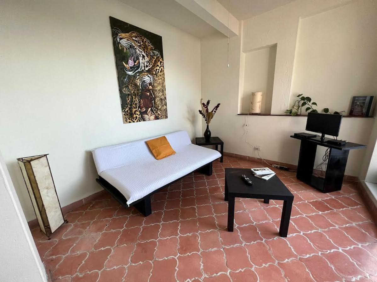 Aparthotel Sarita Centro Historico Sma San Miguel de Allende Exterior foto